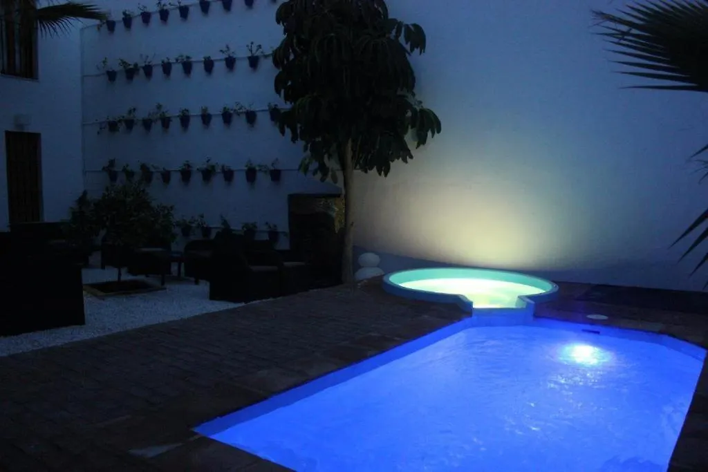 Casa Patio Las Palmeras 2 Cordoba Apartment